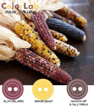 ColorChallenge17 ColorChallenge17