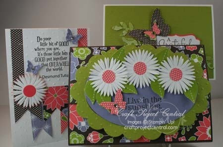 Love in the Sunshine Box & Cards