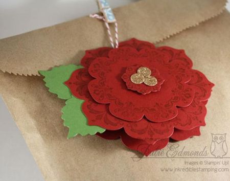 110812_0133_APoinsettia1