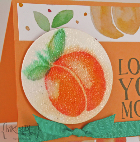 IMG_3592-copy IMG_3592-copy