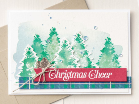 Wrapped in Plaid Suite Spotlight